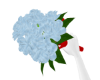 Blue Roses