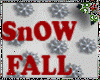 DC* SNOW FALL