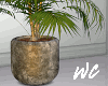Stone Planter