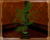 ~VP~ Potted Tree