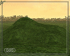 ∞ SolvitaGrassBump