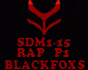 RAP - SDM1-15 - P1