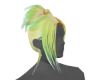 Quetzal Top Knot