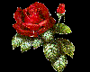 Red Rose 2 (glitter)
