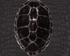 Black Turtle Armor