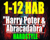 HarryPoter&Abracadabr/HS