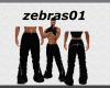 PANTALON FASHION BOTAS