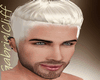 Blonde Cut  Hair