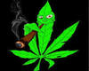 weed pic