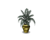 A~gold potted plant
