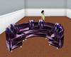 couche adas purple