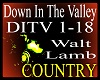 *ditv Down In The Valley