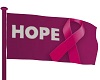 BCA Ribbon of Hope Flag