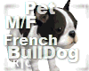 R|C French Bulldog Coffe