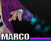 MARCO | Flame Arm