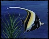 ~B~Marine Life #4