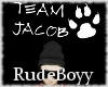 [RB] Team Jacob Sign