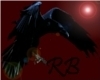 ~RB~ RavenB Shoulder