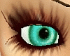 Turquoise F Eyes