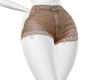 Denim Shorts V3