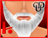 K* Santa Beard