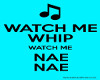 Watch Me Whip/NaeNae