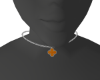 Collar 1 VanCf Orange 2