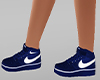 Blue basket