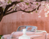Old car background