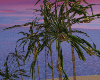 Palm Trees♦