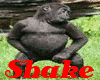 Shake Dat Monkey