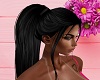 Black Ponytail
