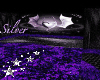 {SS}Dragon Club Amethyst