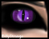 [B]Purple Cat Eyes