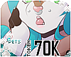 [Pets] 70k support