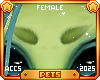 [Pets] Val'u | brows