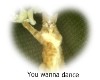 Cat  Dance