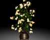 Golden Lotus Tree