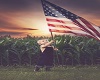 COUNTRY VINTAGE FLAG2
