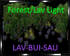 *Forest/Lav Light