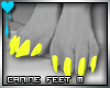 D~Canine Feet:Yellow M