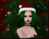 Christmas Elf ~ 2