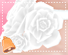 🔔 White Neck Roses