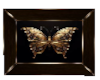 butterfly frame