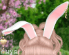C~Bunny White Ears