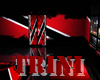 TRINI REAL CLUB