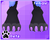 [Pets] Kia | feet