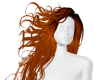 iva Klarisa V3