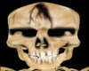 skeleton avatar