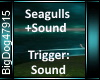 [BD]Seagulls+Sound